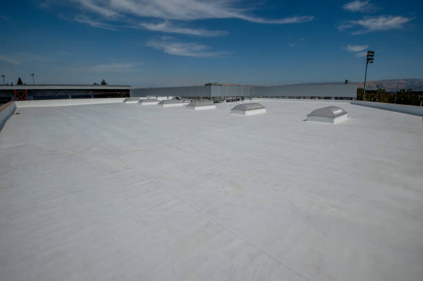 Best Rubber Roofing (EPDM, TPO)  in Campbelltown, PA