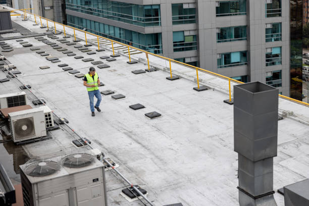 Best Roof Maintenance and Cleaning  in Campbelltown, PA
