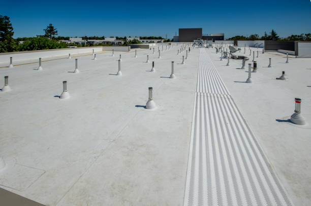Best Sheet Metal Roofing  in Campbelltown, PA